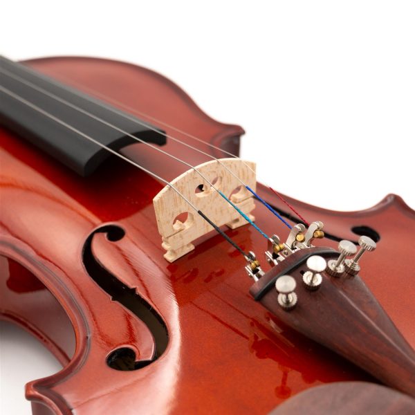 Violino in Legno Massello 4/4, colore Natural Academy