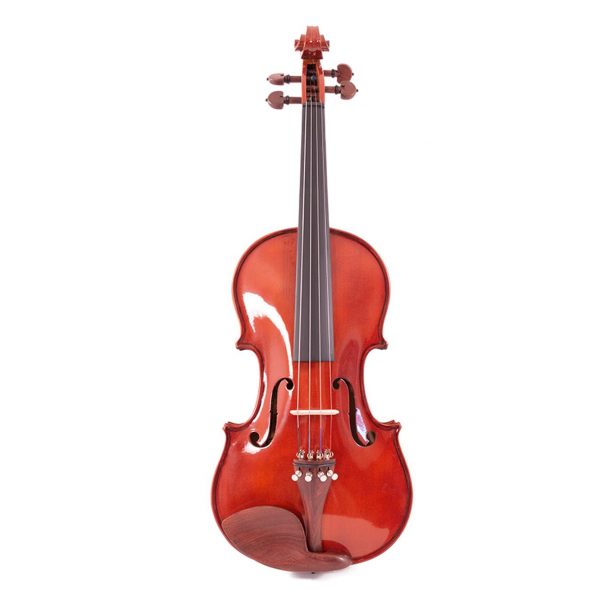 Violino in Legno Massello