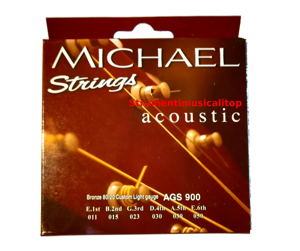 Michael Acoustic 011