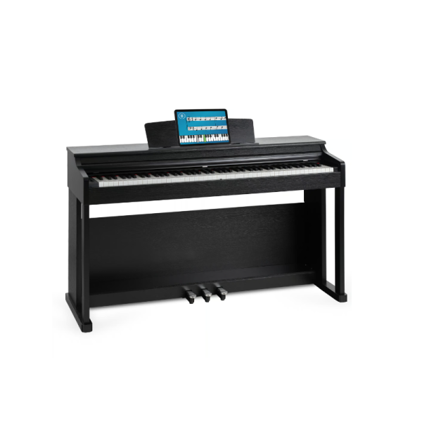Piano Digitale 88 Tasti pesati